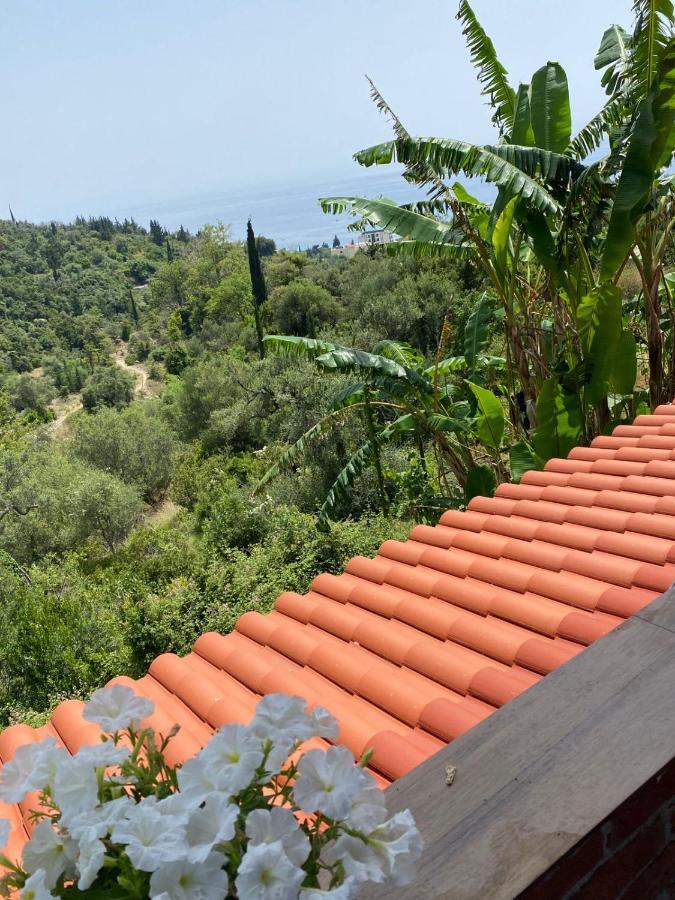 Vila Zaho Dhermi Exterior photo
